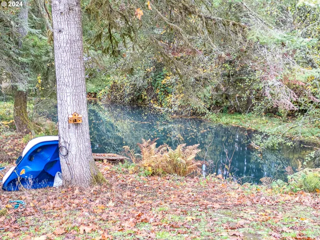 $725,000 | 28383 Pleasant Valley Road, Sweet Home, OR 97386