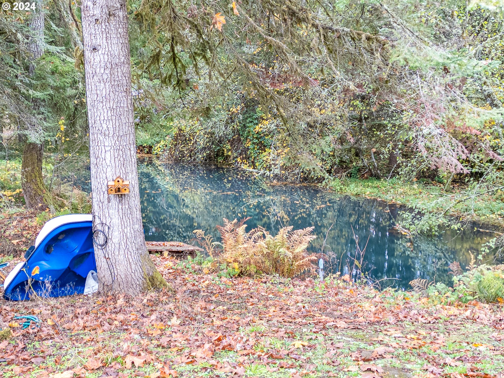 28383 Pleasant Valley Road Sweet Home, OR 97386 - Photo 30 of 34 a view of a yard with large tree