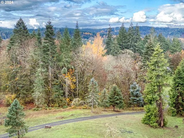 $725,000 | 28383 Pleasant Valley Road, Sweet Home, OR 97386