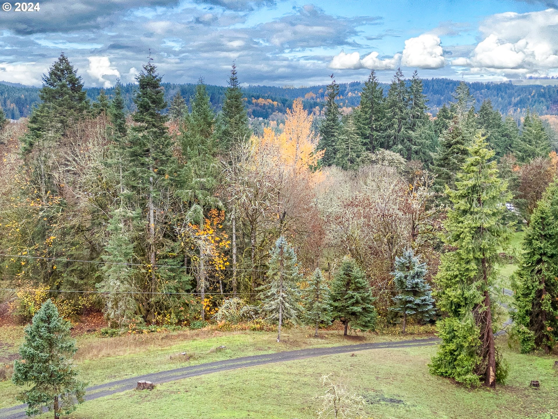 28383 Pleasant Valley Road Sweet Home, OR 97386 - Photo 31 of 34 a view of a yard next to a yard