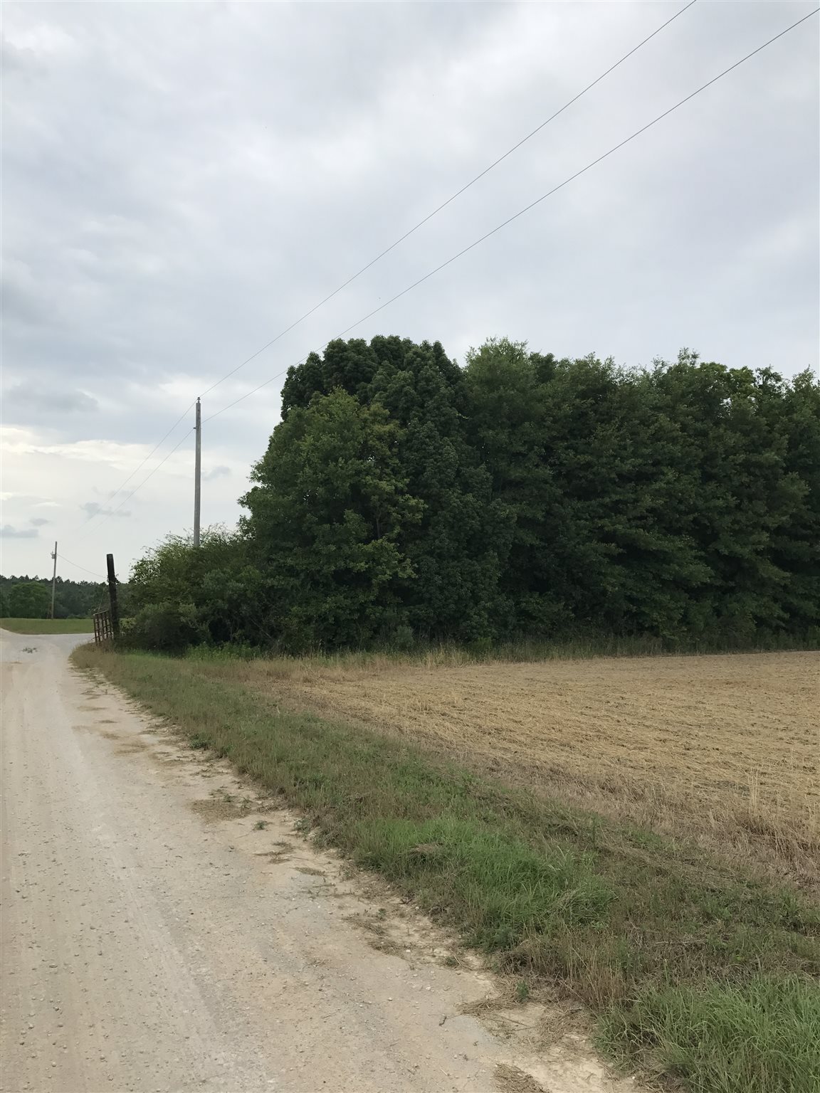 Cc Road Elberta, AL 36530 - Photo 10 of 12 Trees mark West boundary