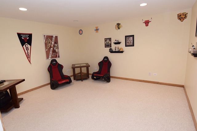 39W308 Baert Road St. Charles, IL 60175 - Photo 22 of 25 a living room with furniture