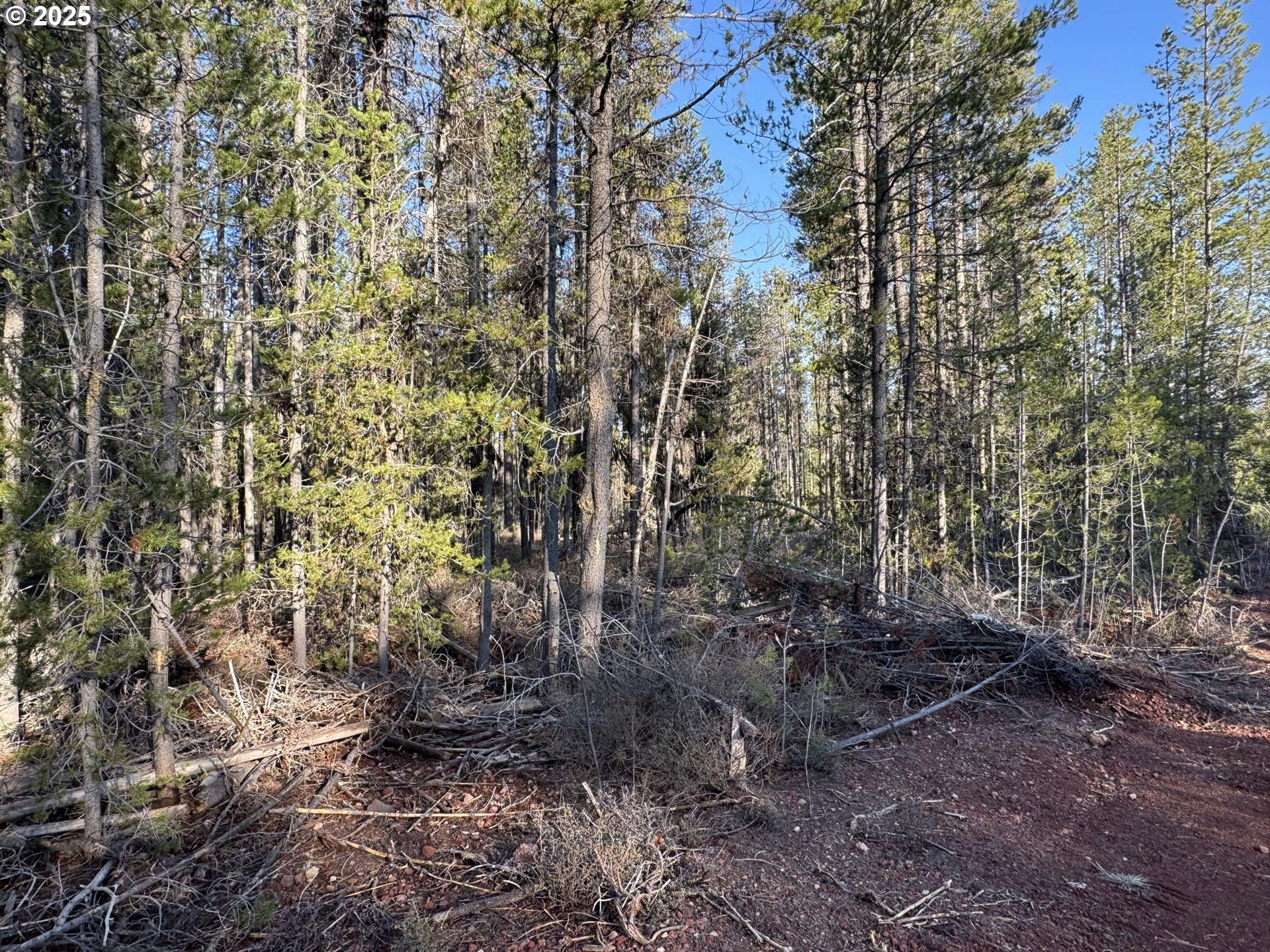 Artesian Drive, Unit L7 Chiloquin, OR 97624 - Photo 36 of 42
