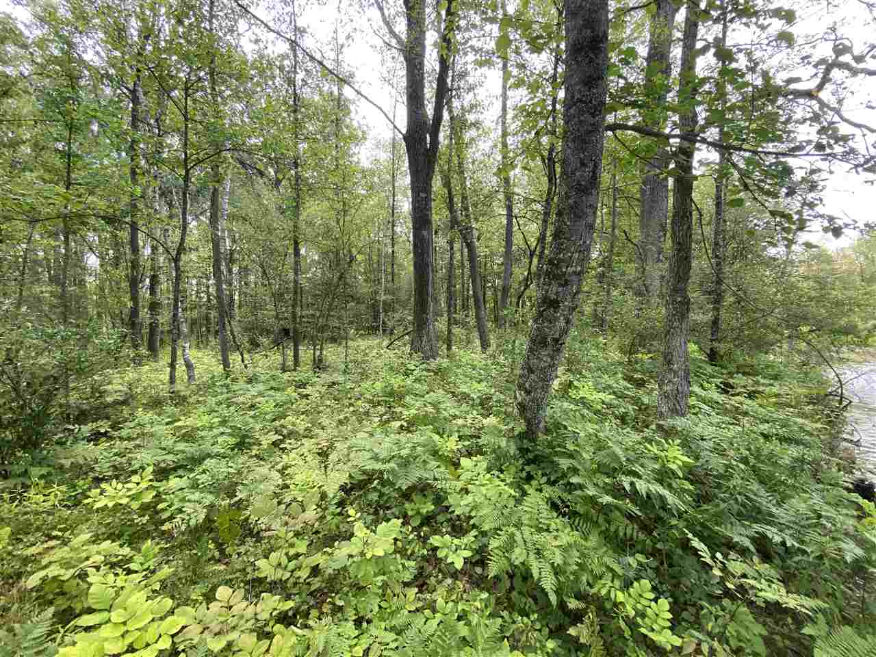 0 Briggs Road Omer, MI 48749 - Photo 42 of 45