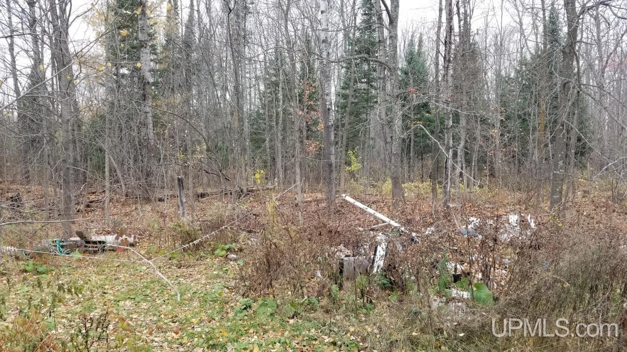 581 Bates-Amasa Road Iron River, MI 49935 - Photo 27 of 33 Gallery Image 27
