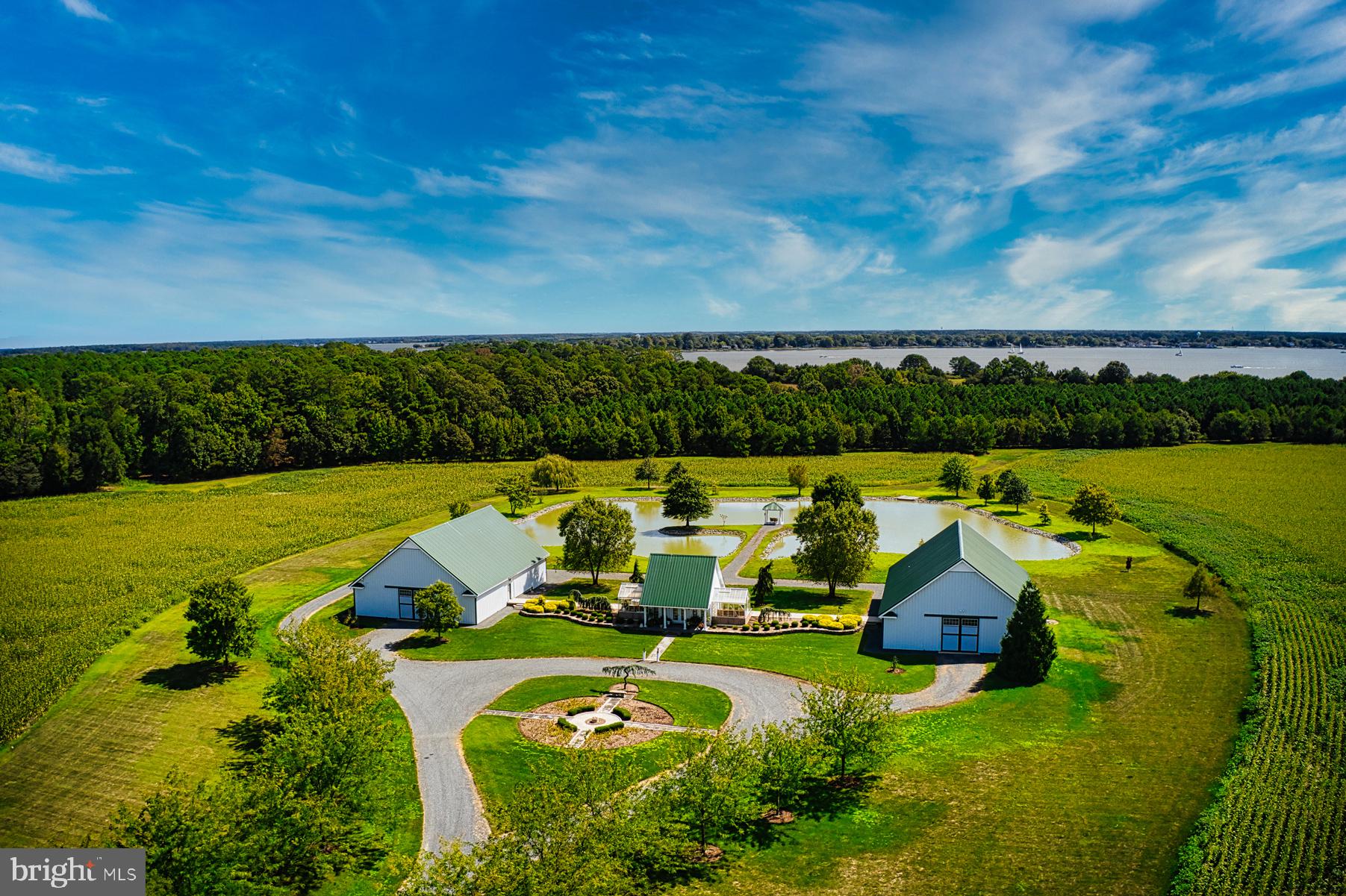 5289 Ferry Neck Road Royal Oak, MD 21662 - Photo 9 of 80 a view of a swimming pool with lounge chairs