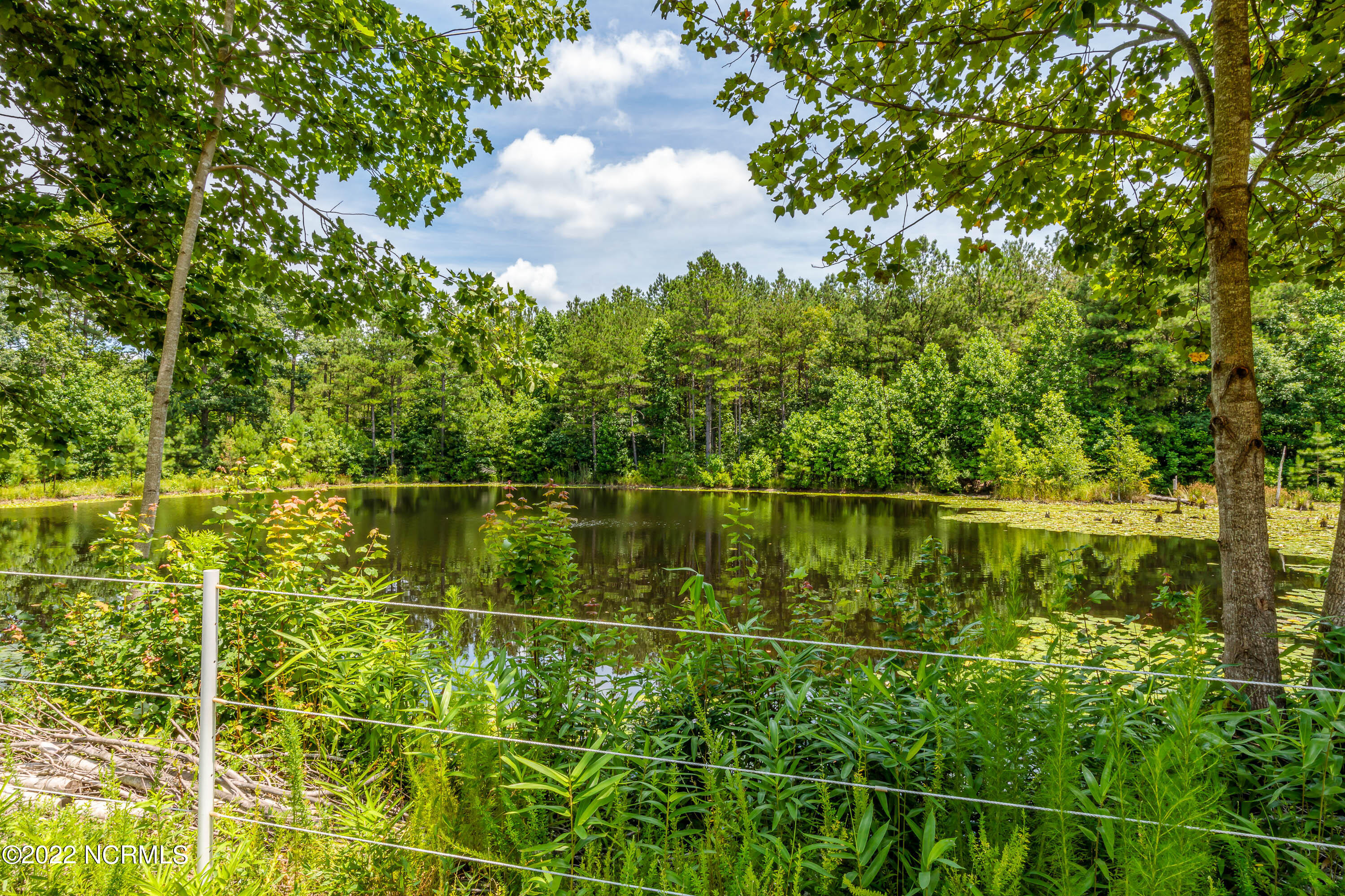 616 Winford Road Eagle Springs, NC 27242 - Photo 41 of 59 616winford-23