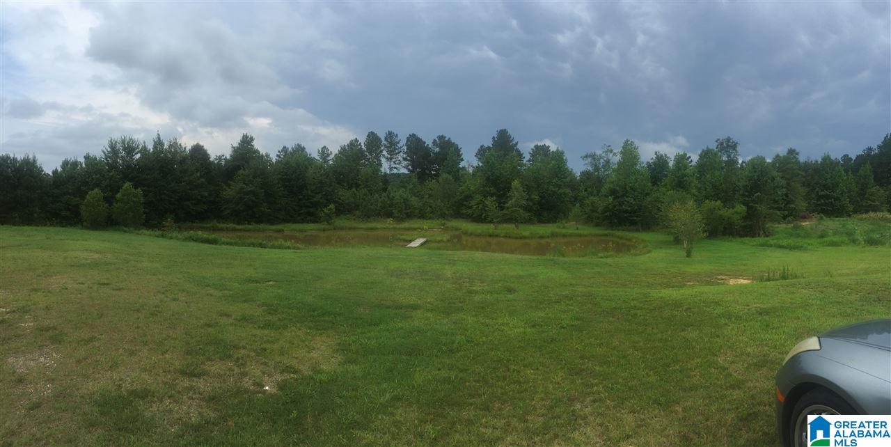 457 Hunters Xing Road Odenville, AL 35120 - Photo 5 of 7