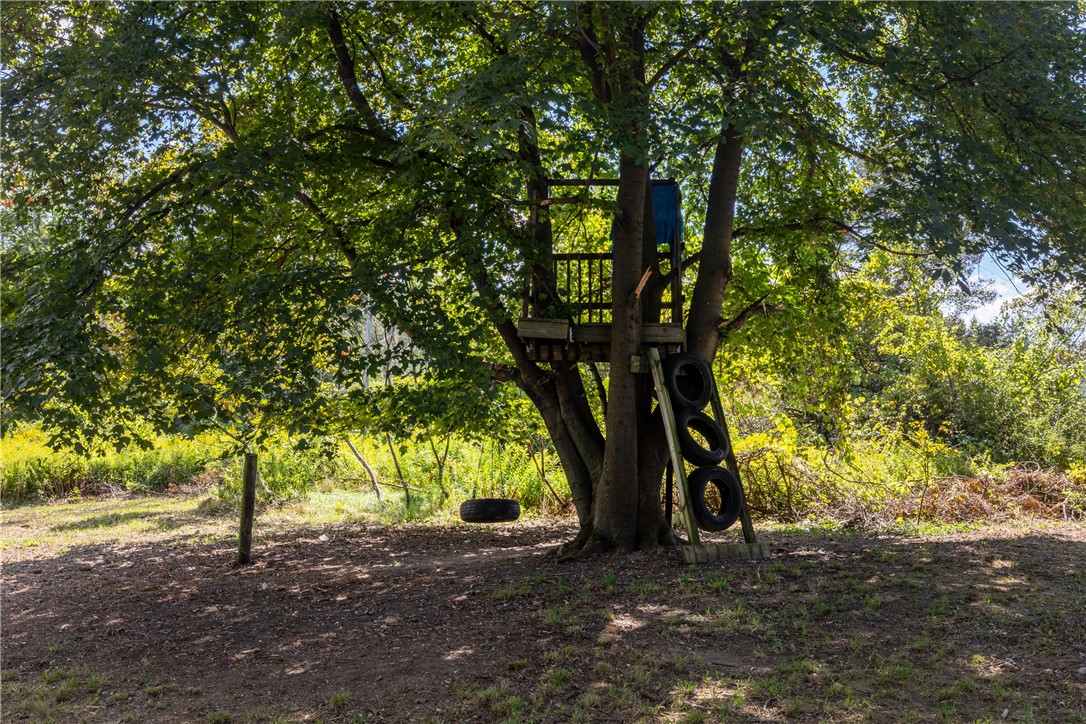 894 Middle Road Veteran, NY 14845 - Photo 47 of 50