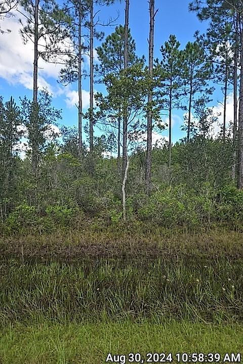 0 Swamp Road Waycross, GA 31503 - Photo 11 of 12