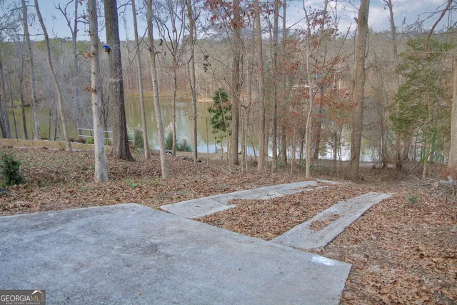 a view of a backyard with trees