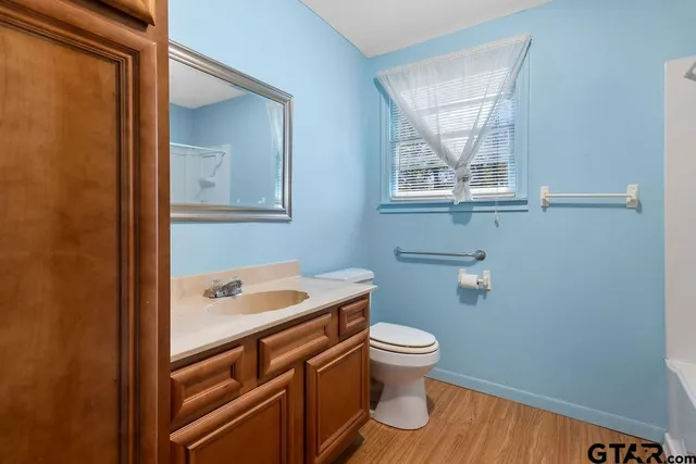 a bathroom with a sink and a toilet