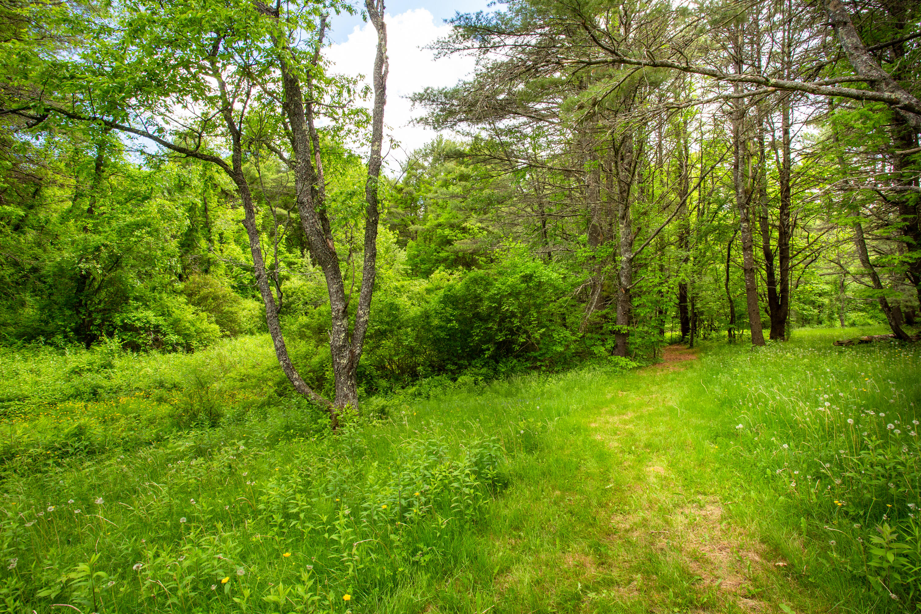 Lot 22 Bristol Road Bristol, ME 04539 - Photo 12 of 24 04-000BristolRd-Bristol-KS