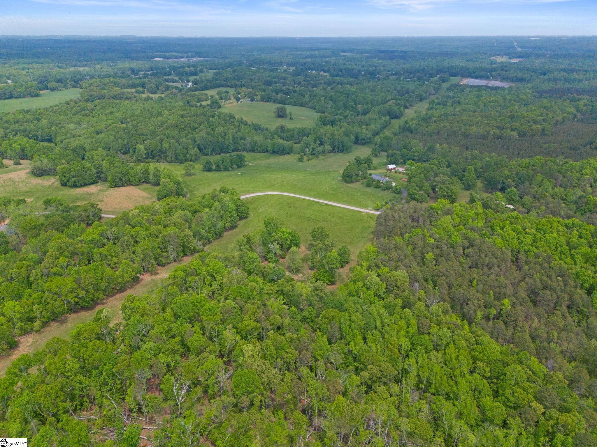 133 Holly Drive Pelzer, SC 29669 - Photo 47 of 50