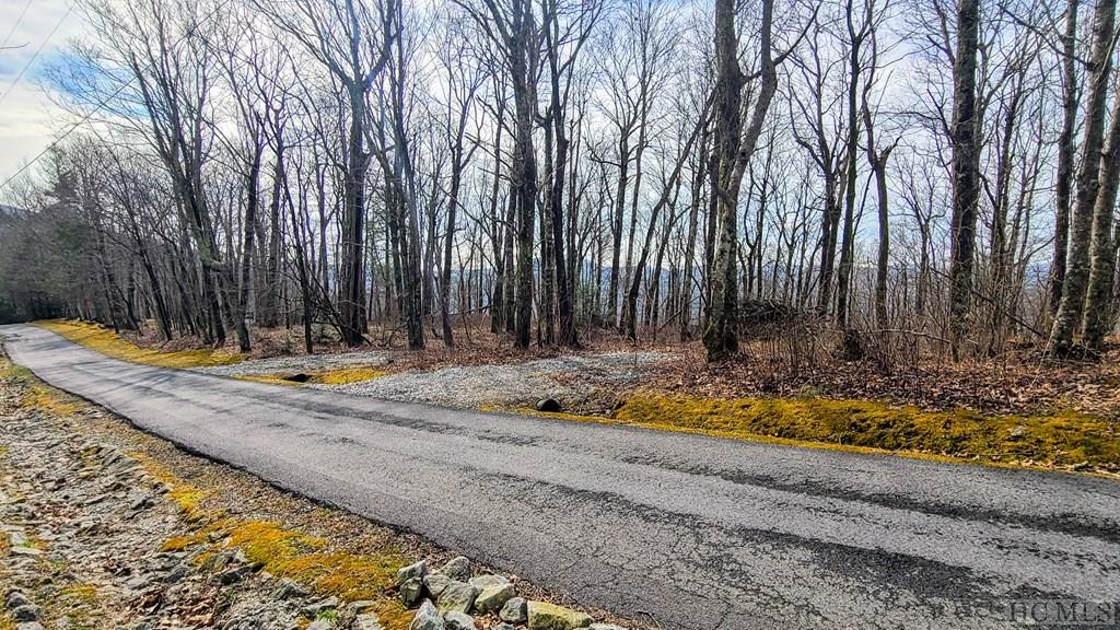 Lot 9 Fox Run Ridge Road Sapphire, NC 28774 - Photo 3 of 13 Gallery Image 3