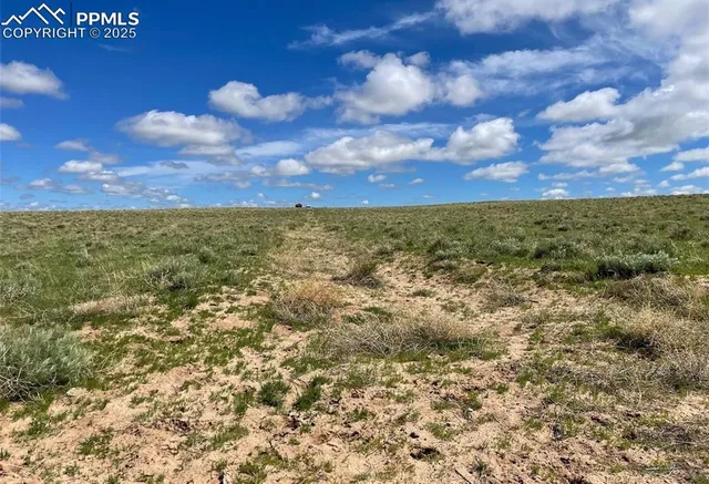 a view of a yard with an outdoor space