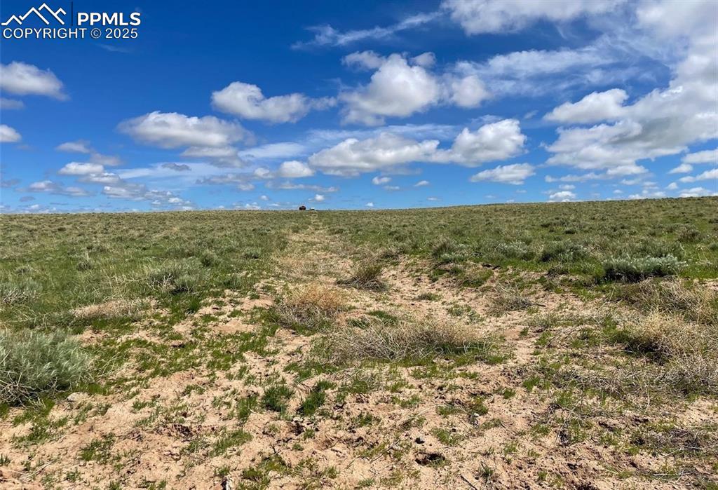 a view of a yard with an outdoor space