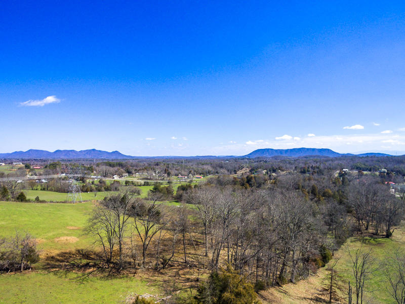 8328 Cliff Ridge Court Corryton, TN 37721 - Photo 2 of 39 055170302-3-8328CliffRidgeCtCorrytonTN-S