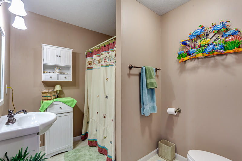 8328 Cliff Ridge Court Corryton, TN 37721 - Photo 31 of 39 8328 Basement bath