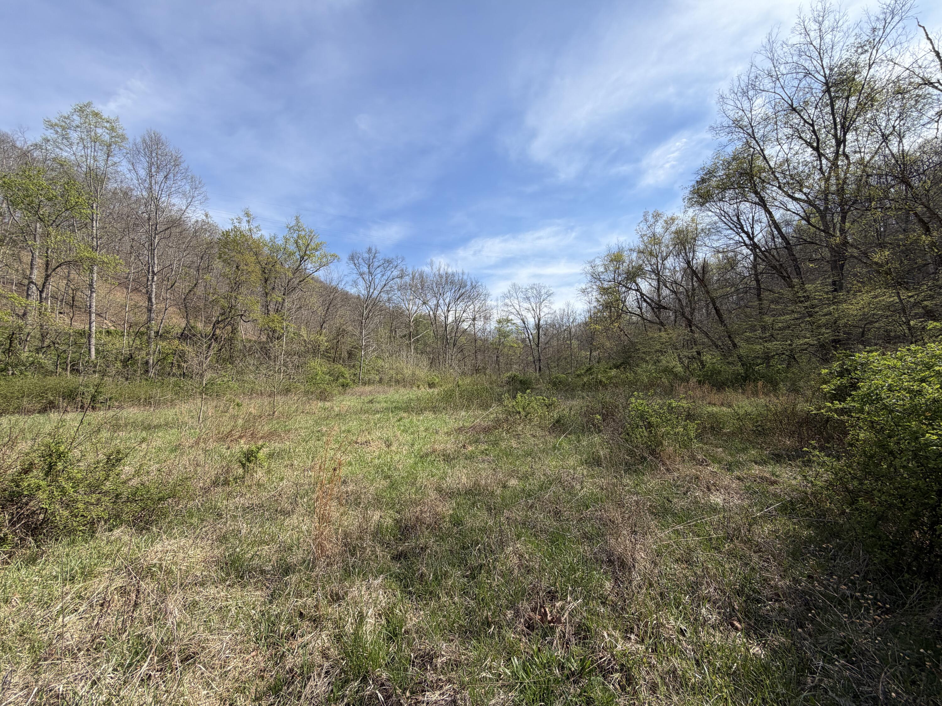 694 A Tunnel Ridge Road Argillite, KY 41121 - Photo 81 of 92 Road Frontage