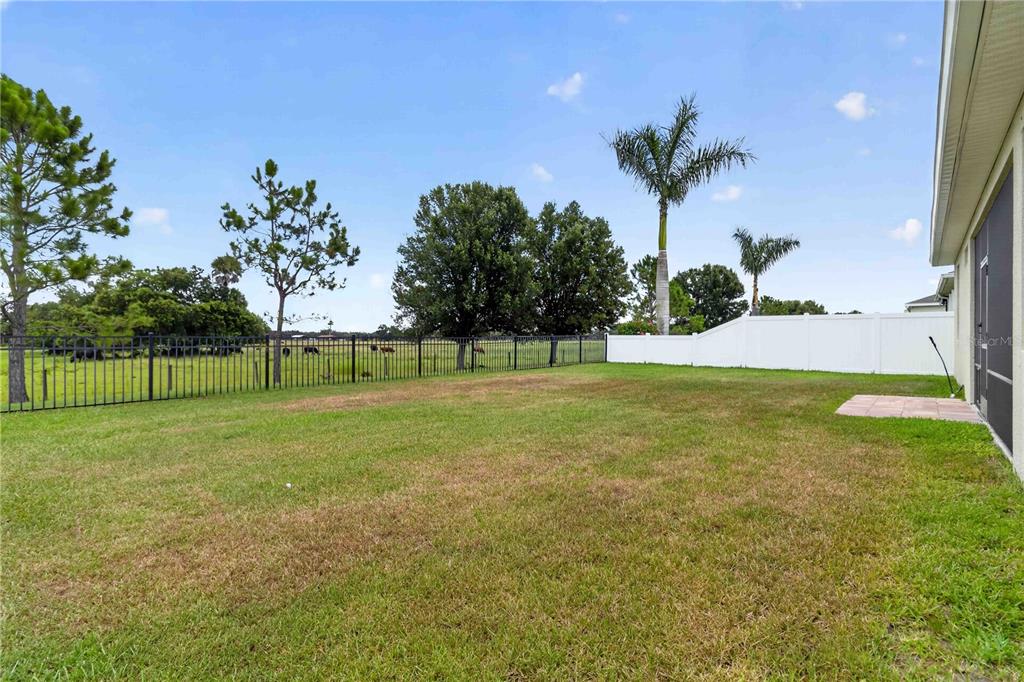 14907 Trinity Fall Way Bradenton, FL 34212 - Photo 32 of 52
