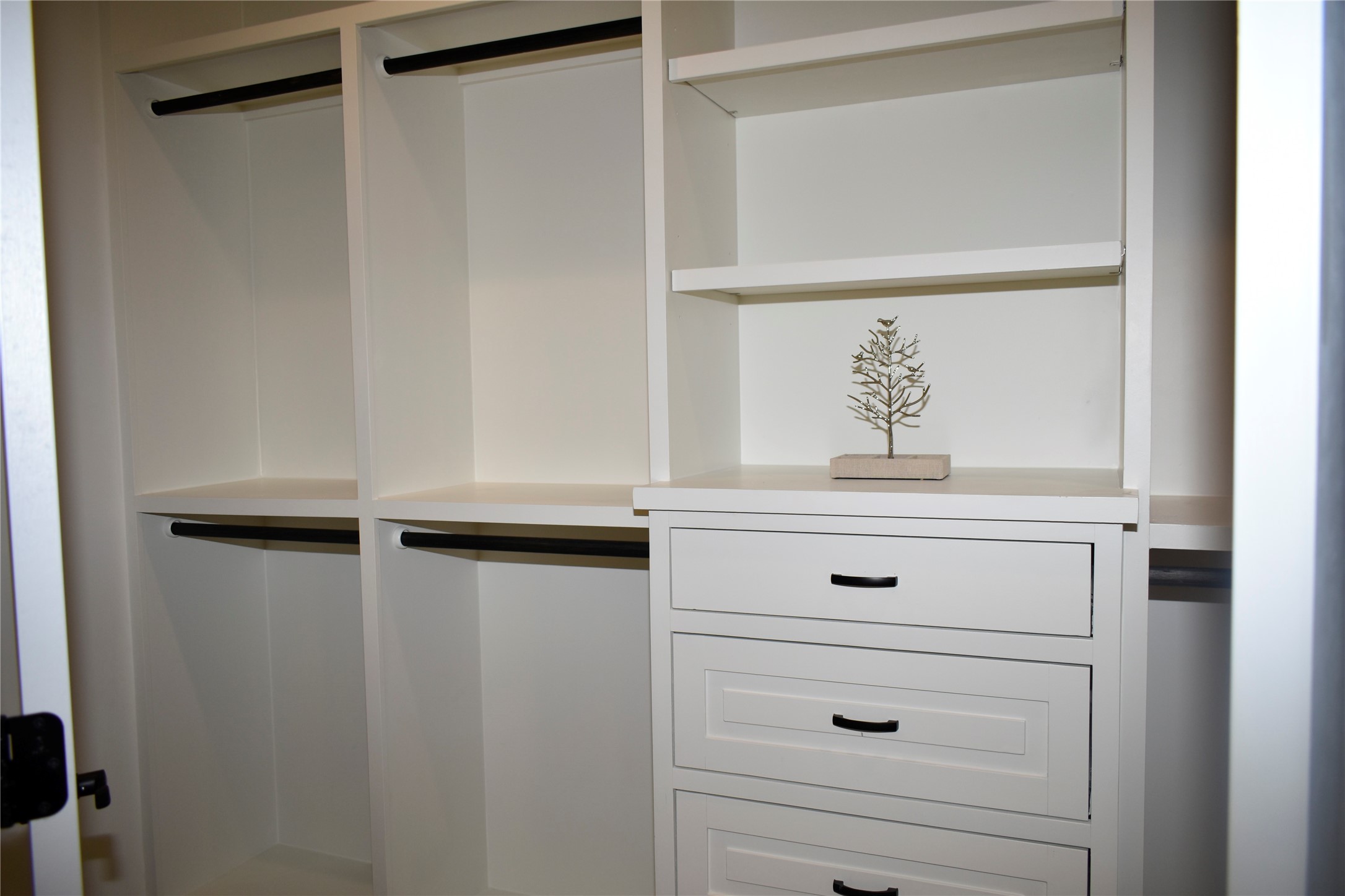 4804 Wilmington Street Houston, TX 77033 - Photo 37 of 47 Custom closet