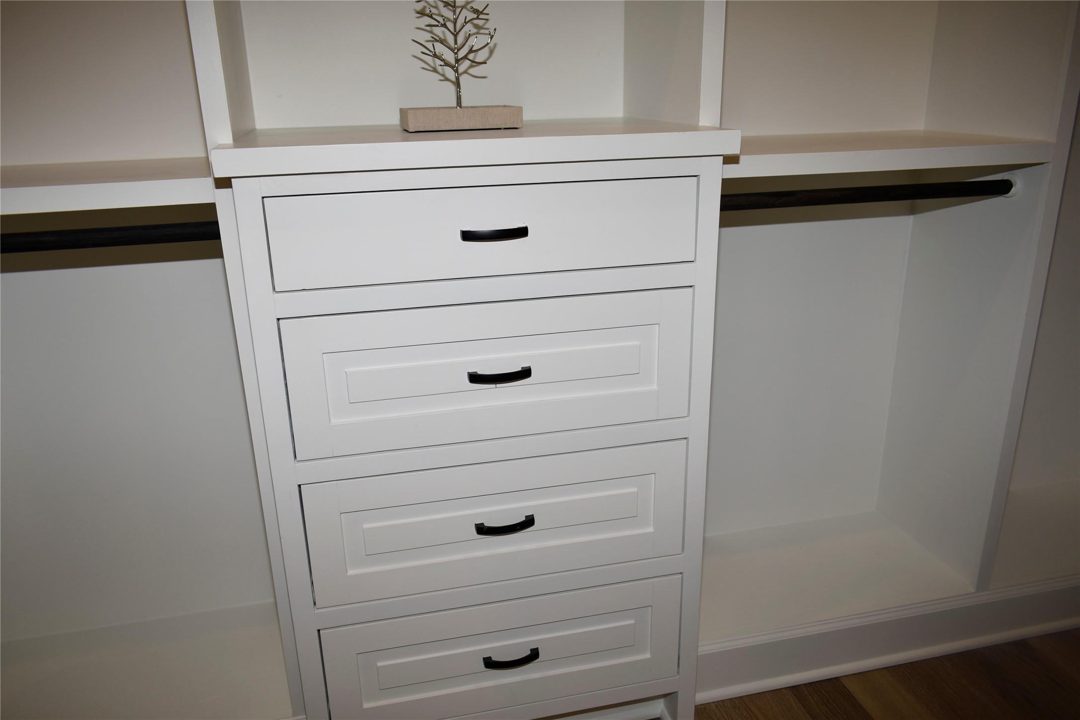 4804 Wilmington Street Houston, TX 77033 - Photo 39 of 47 Custom closet