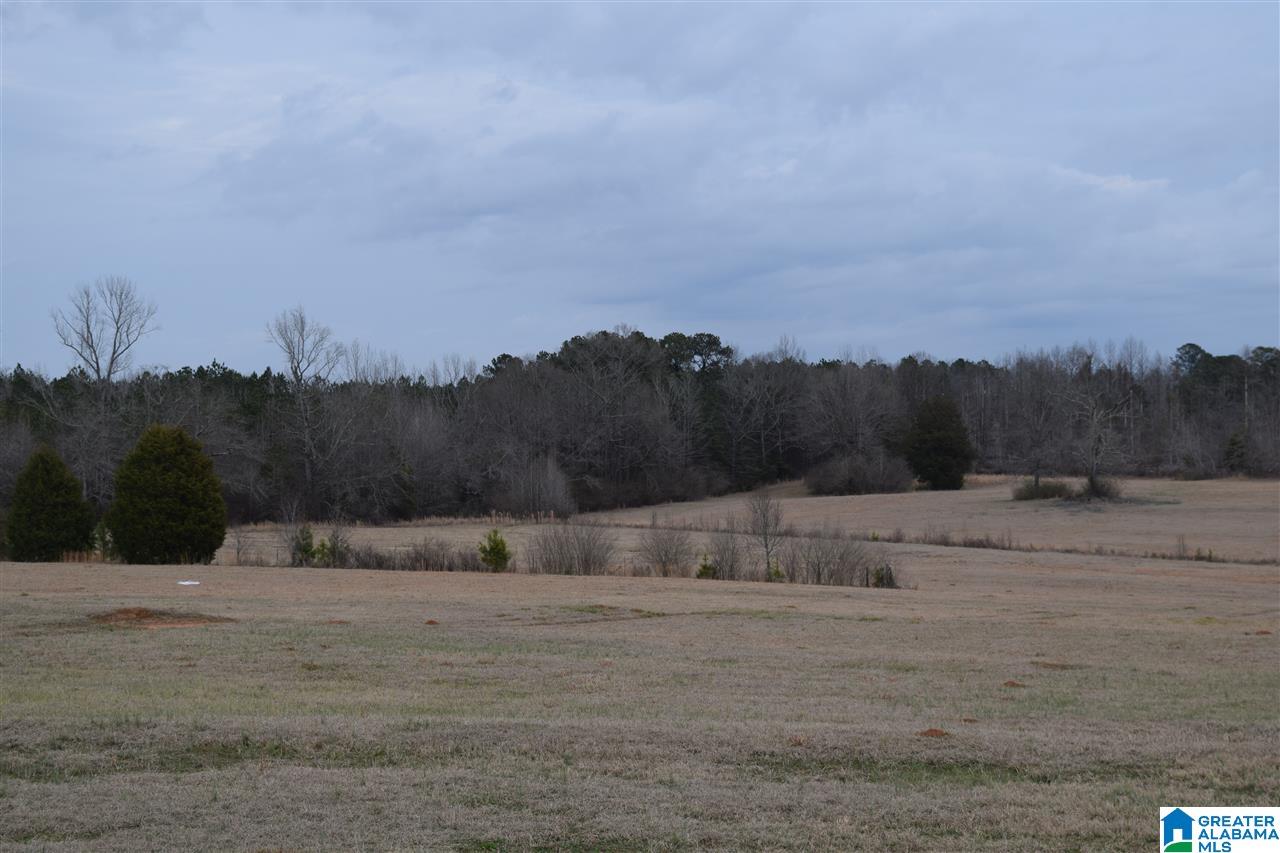 11112 Vance Blocton Road Vance, AL 35490 - Photo 7 of 20