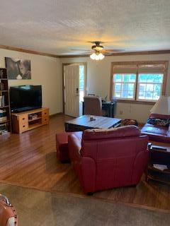 158 Elmtree Road Ringgold, GA 30736 - Photo 5 of 20 IMG_3854