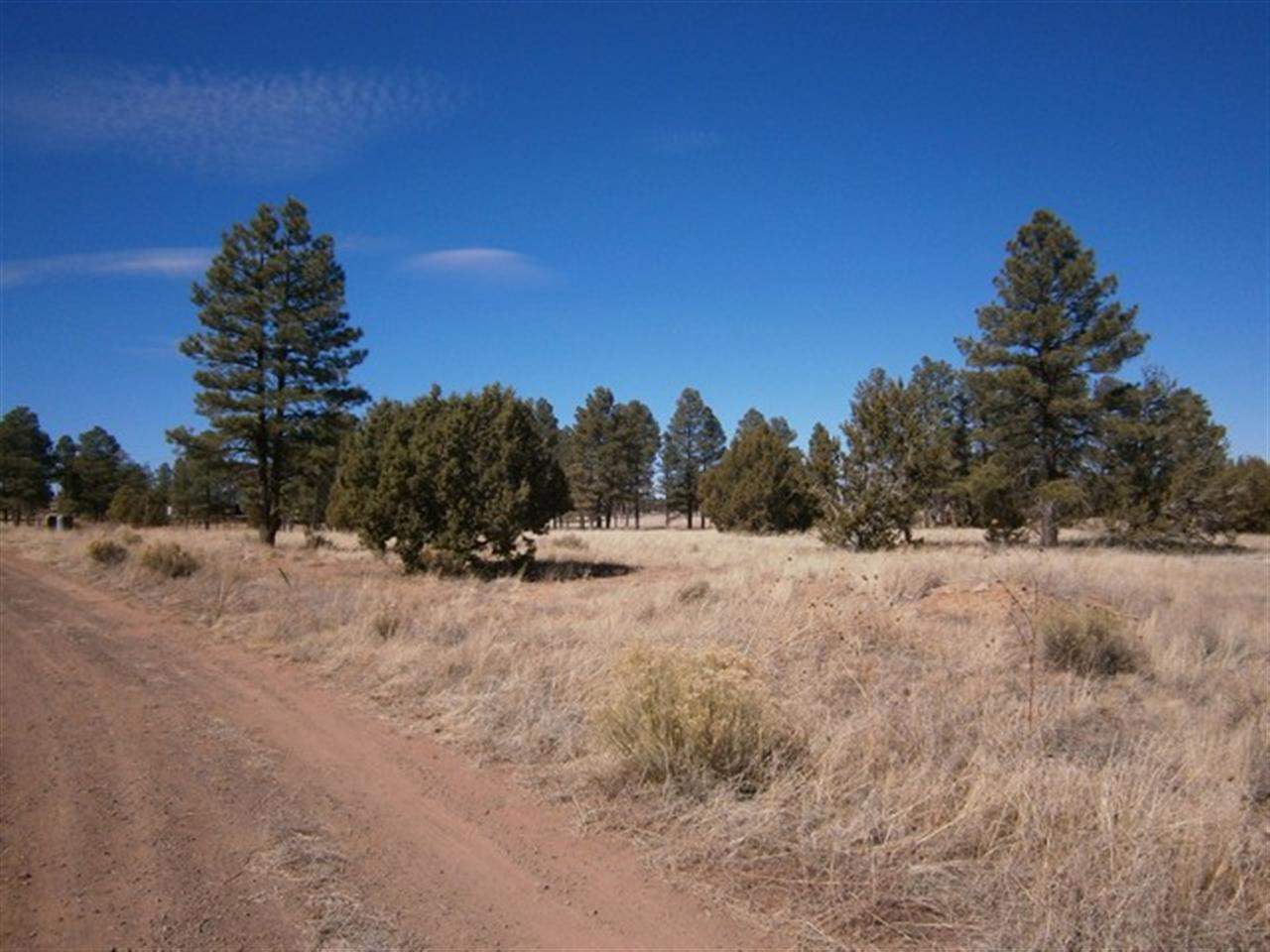 31 Chamberlain Way Show Low, AZ 85901 - Photo 3 of 5 a view of a dry yard with trees