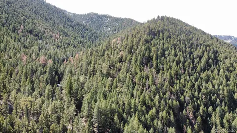 a view of a lush green field