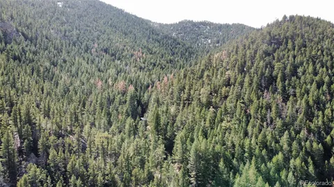 a view of a lush green forest