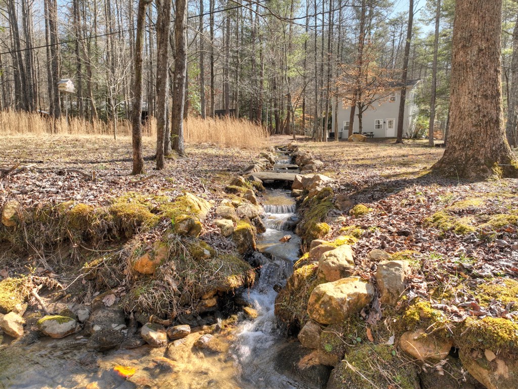 331 Rocky Hollow Road Ellijay, GA 30536 - Photo 31 of 38 Gallery Image 31
