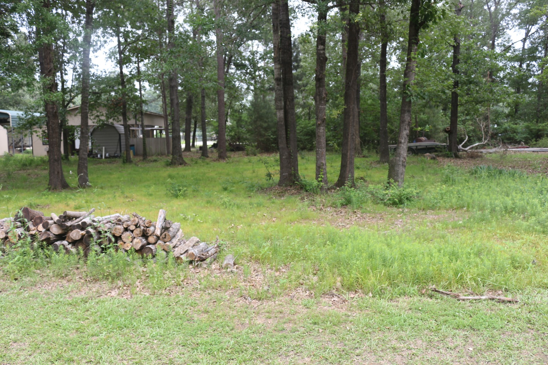 Tbd Belize Drive Point Blank, TX 77364 - Photo 1 of 9 a garden with lots of trees