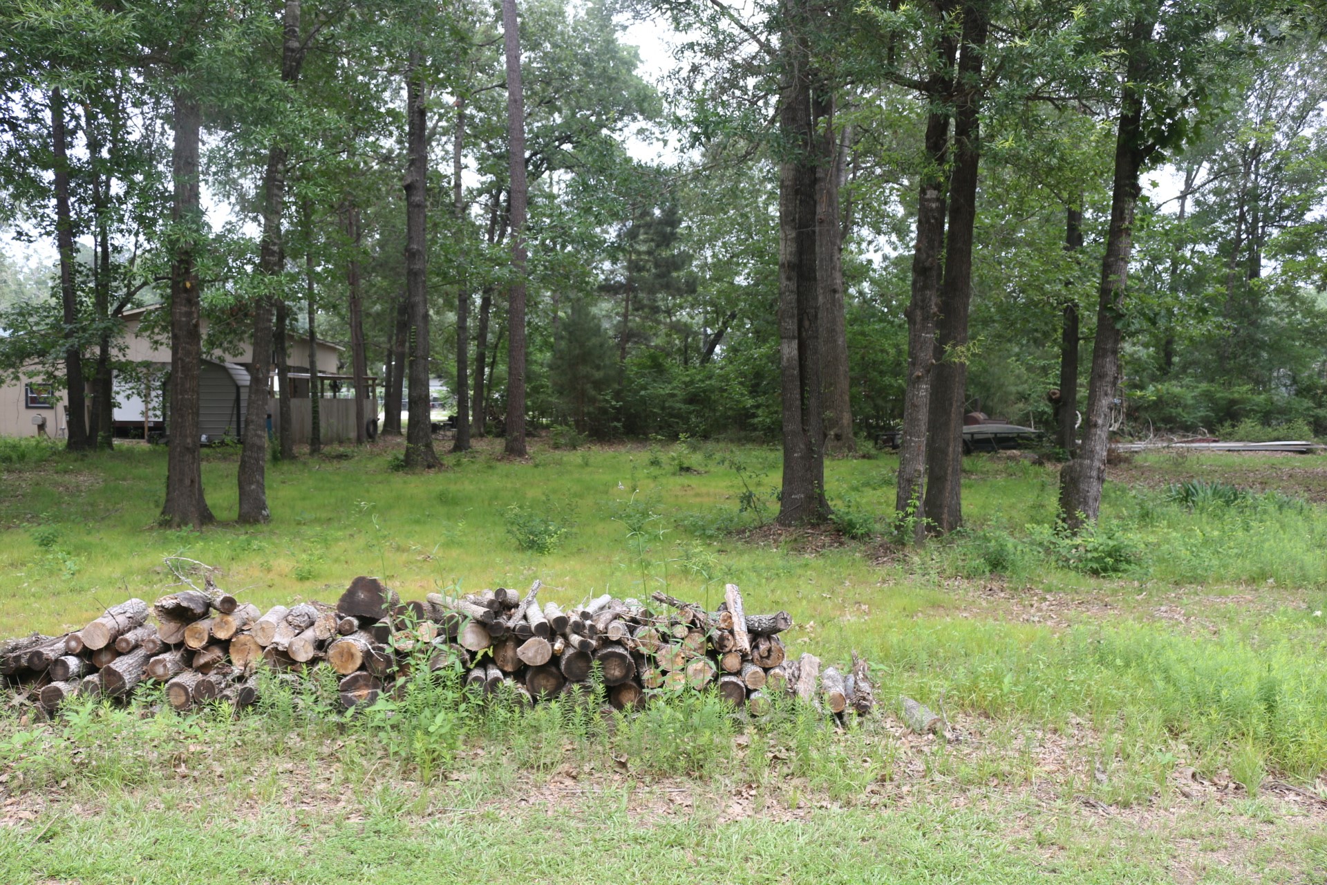 Tbd Belize Drive Point Blank, TX 77364 - Photo 2 of 9 a view of a garden with a tree