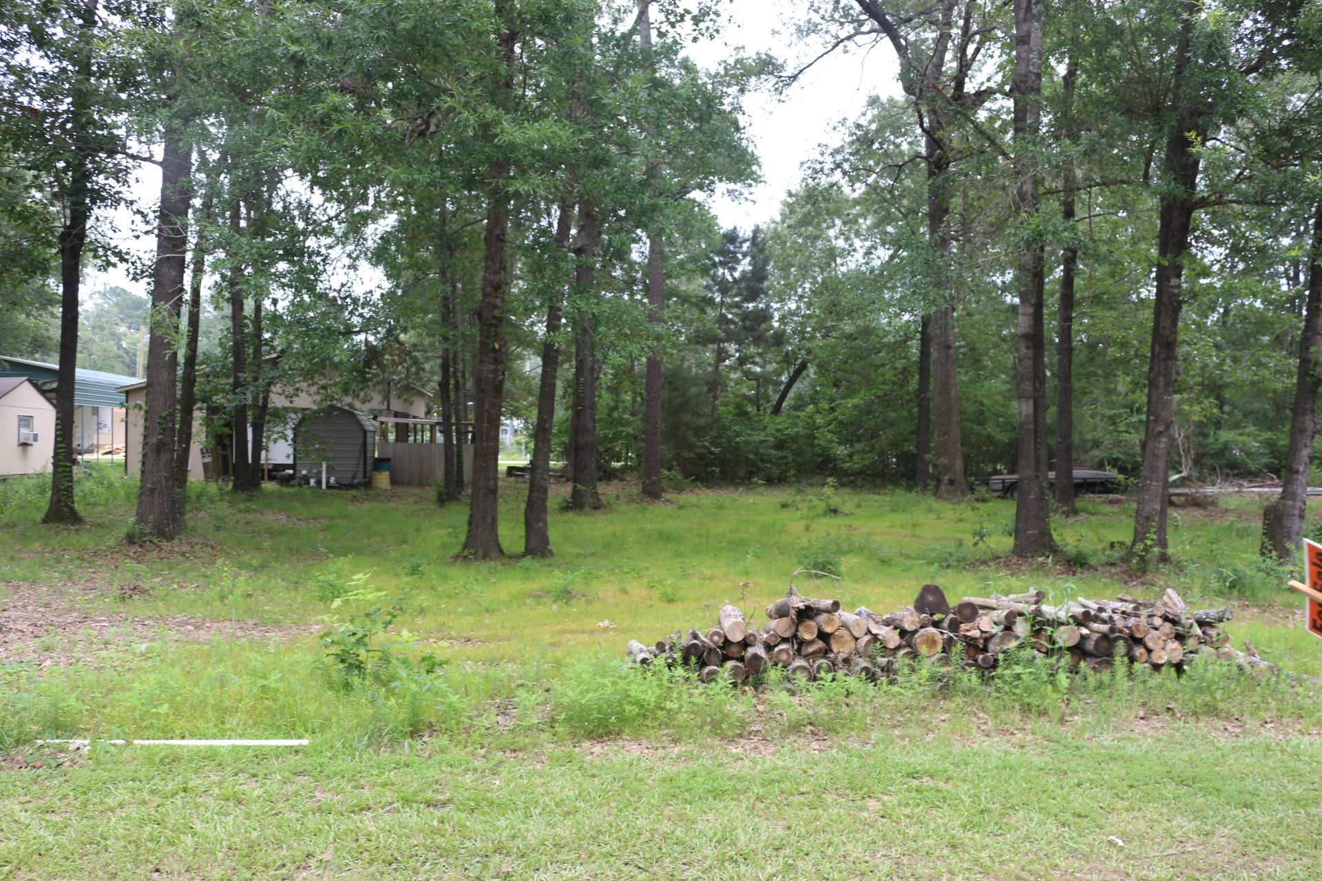 Tbd Belize Drive Point Blank, TX 77364 - Photo 6 of 9 a view of a backyard with large trees