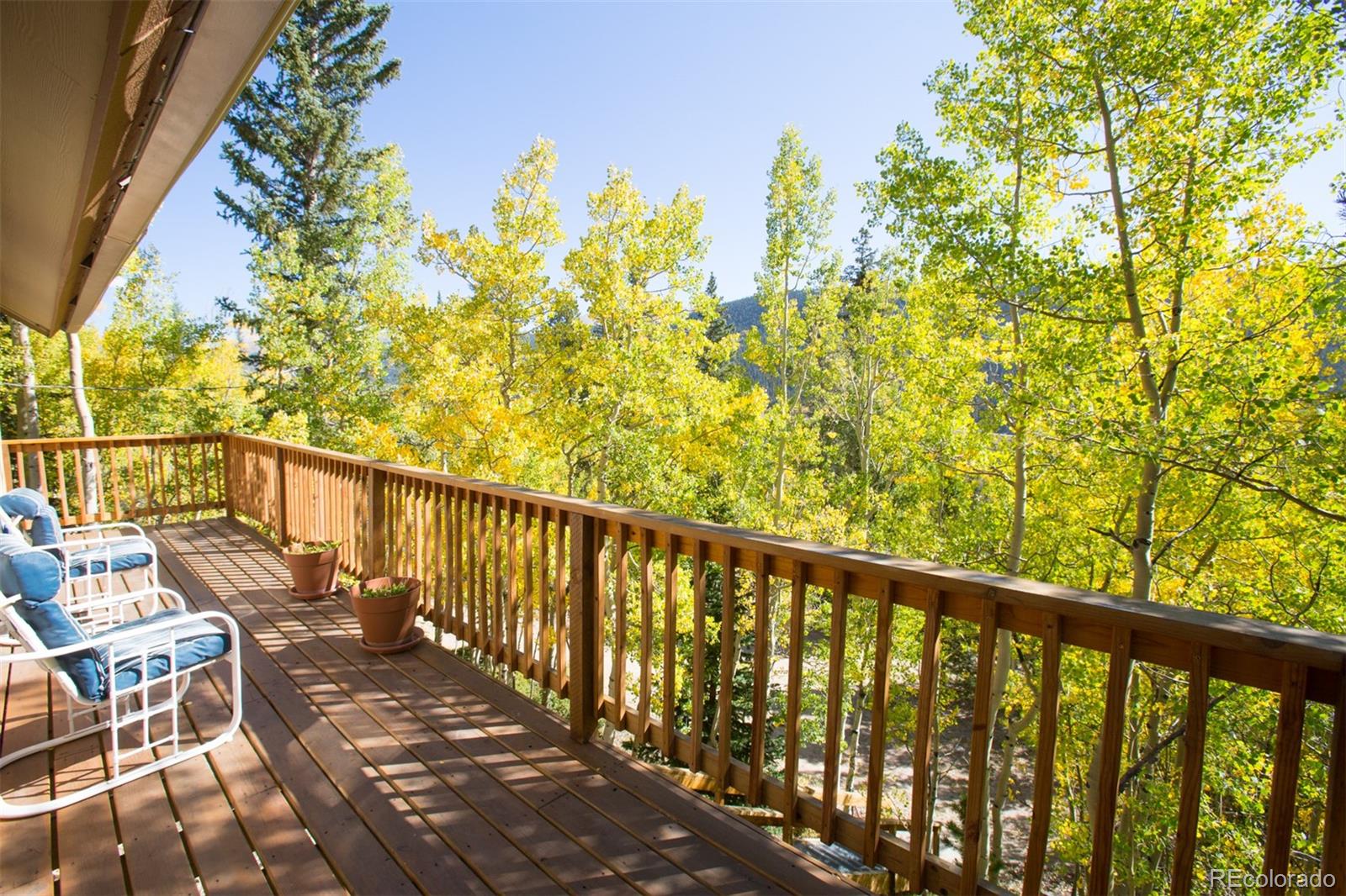 75 Branch Road Alma, CO 80420 - Photo 2 of 38 Gallery Image 2