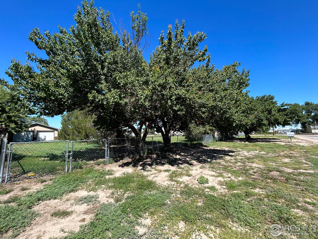 207 Dickson Street Wiggins, CO 80654 - Photo 5 of 9 a view of backyard with green space