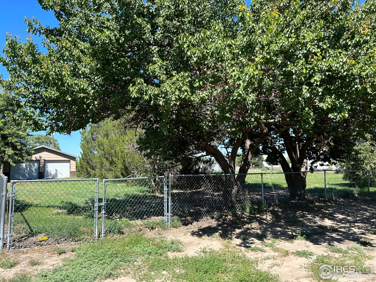 207 Dickson Street Wiggins, CO 80654 - Photo 7 of 9 a backyard of a house with lots of green space