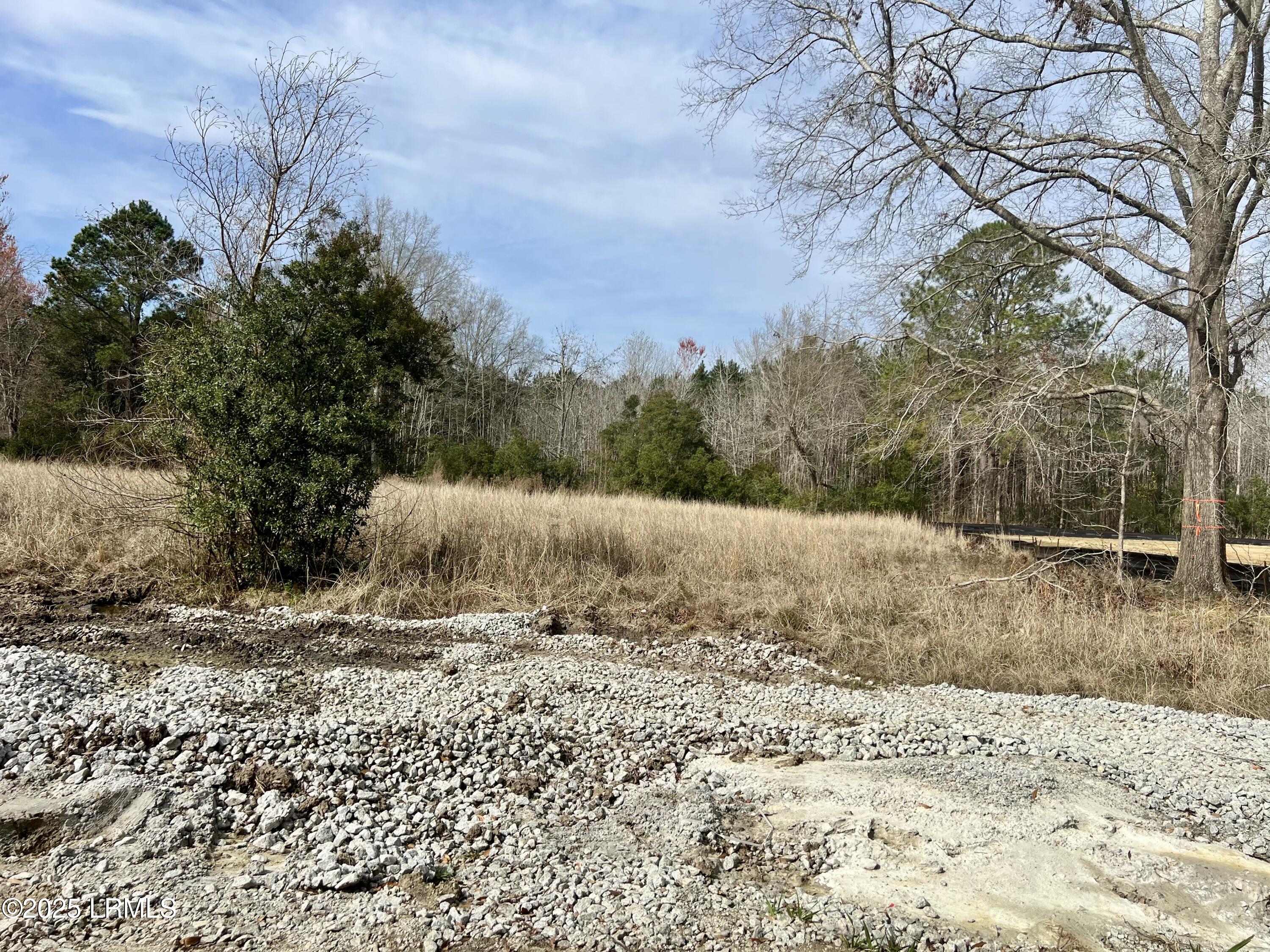 127 Chicora Lane Yemassee, SC 29945 - Photo 4 of 13 Lot 41