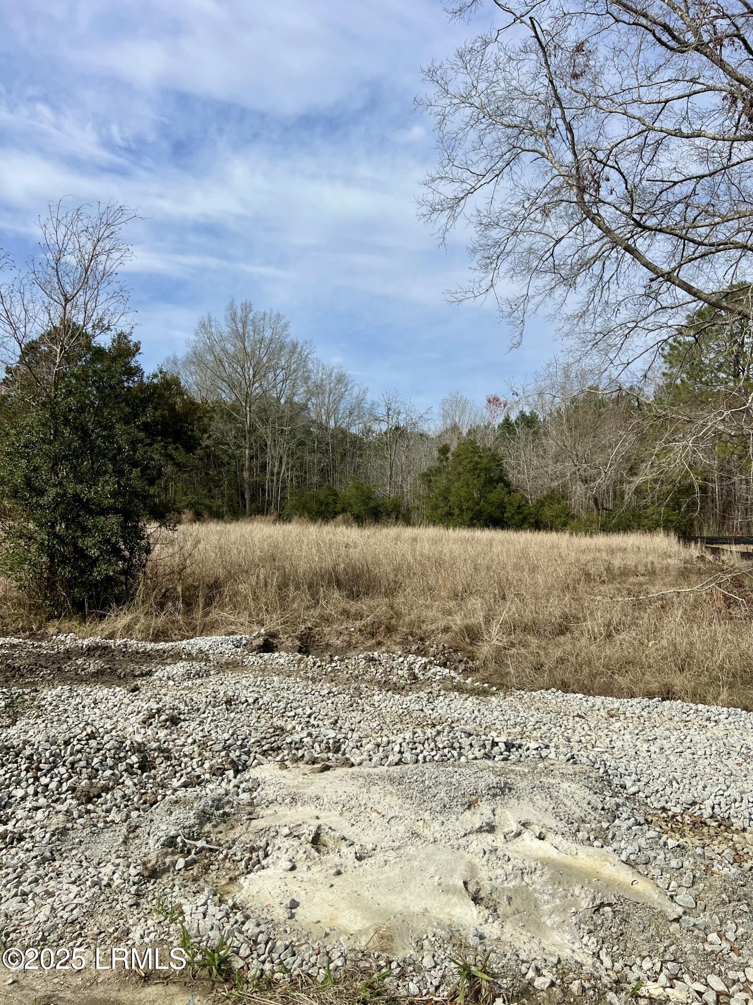 127 Chicora Lane Yemassee, SC 29945 - Photo 5 of 13 Lot 41