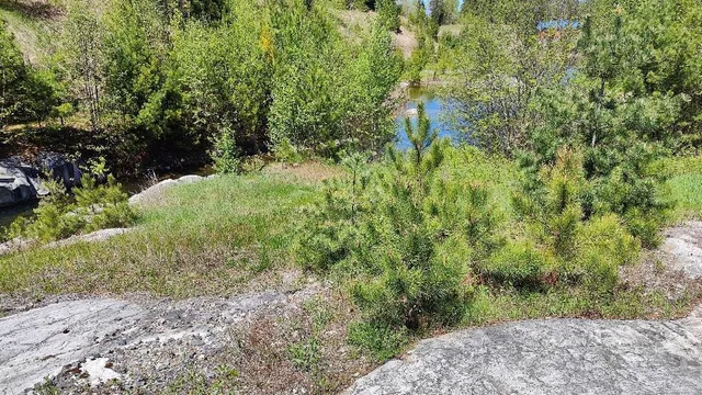 $79,500 | 80036 Sweet Fern Loop, Tower, MN 55790