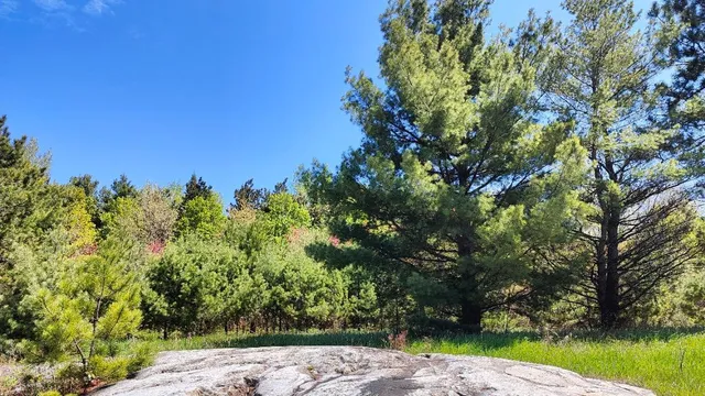 $79,500 | 80036 Sweet Fern Loop, Tower, MN 55790