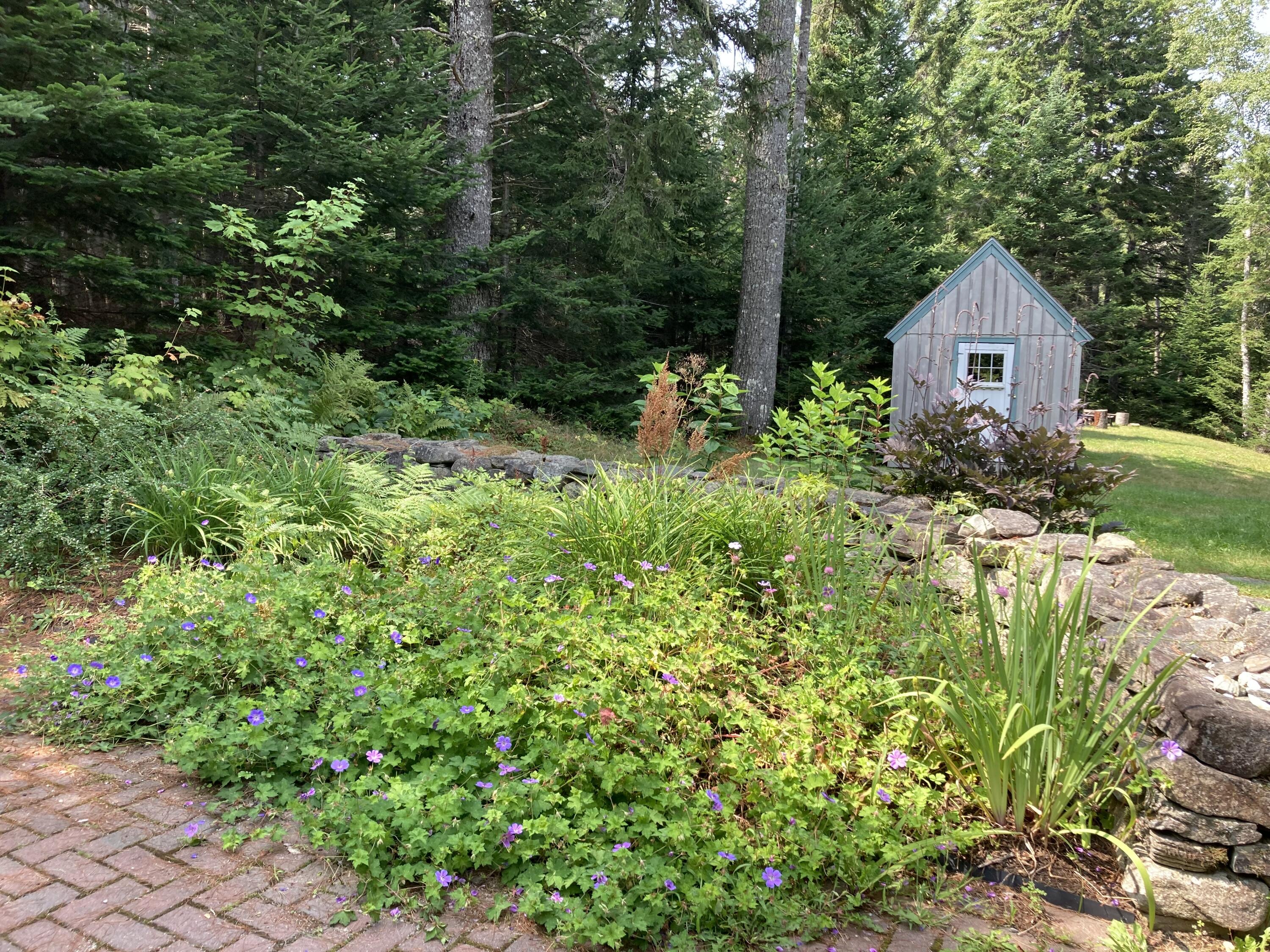 450 West Shore Road Sorrento, ME 04677 - Photo 5 of 25 Head of driveway gardens.