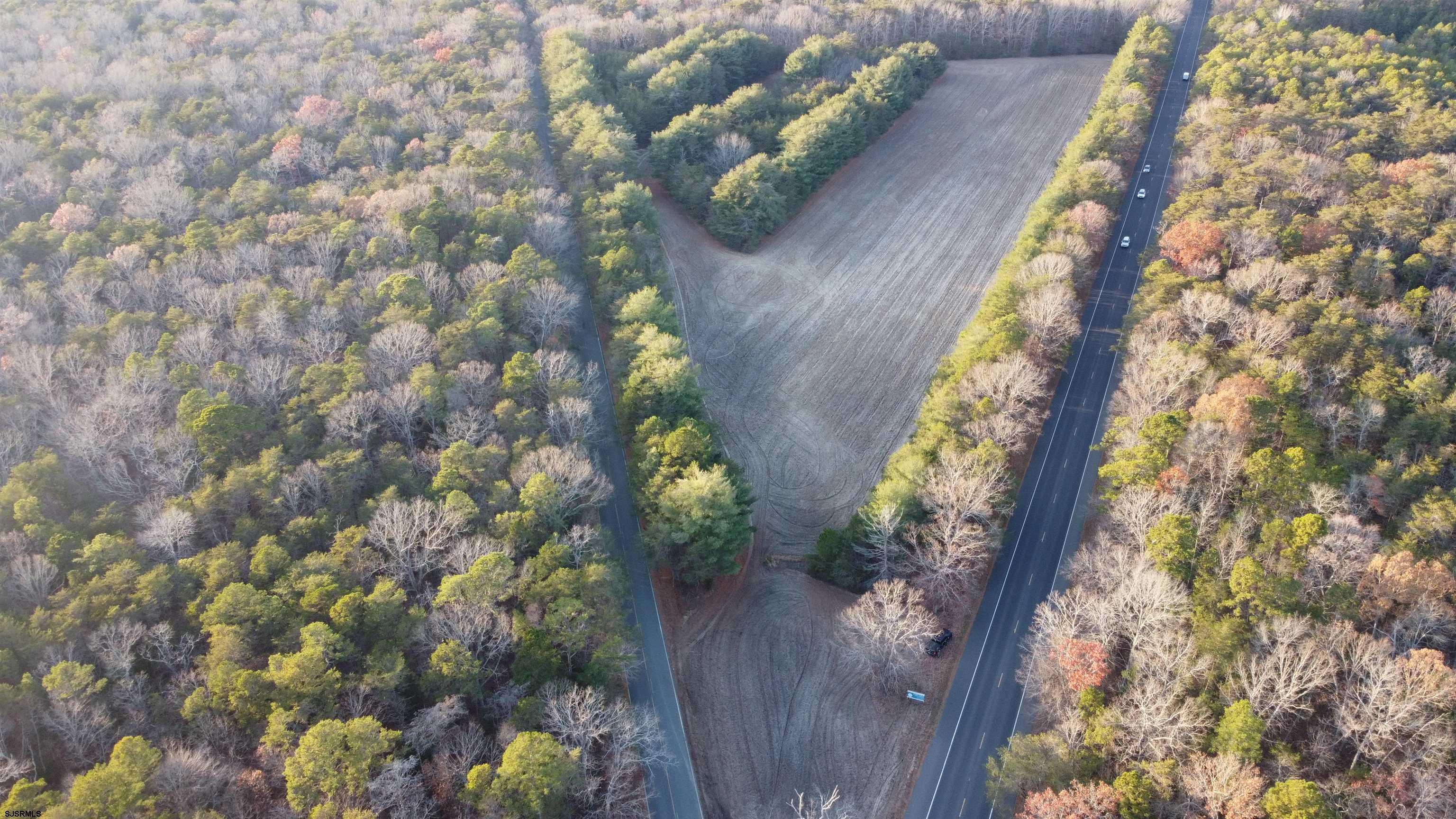 347 & Carlisle Place Road Dorchester, NJ 08316 - Photo 11 of 11 a view of a tree with a plant