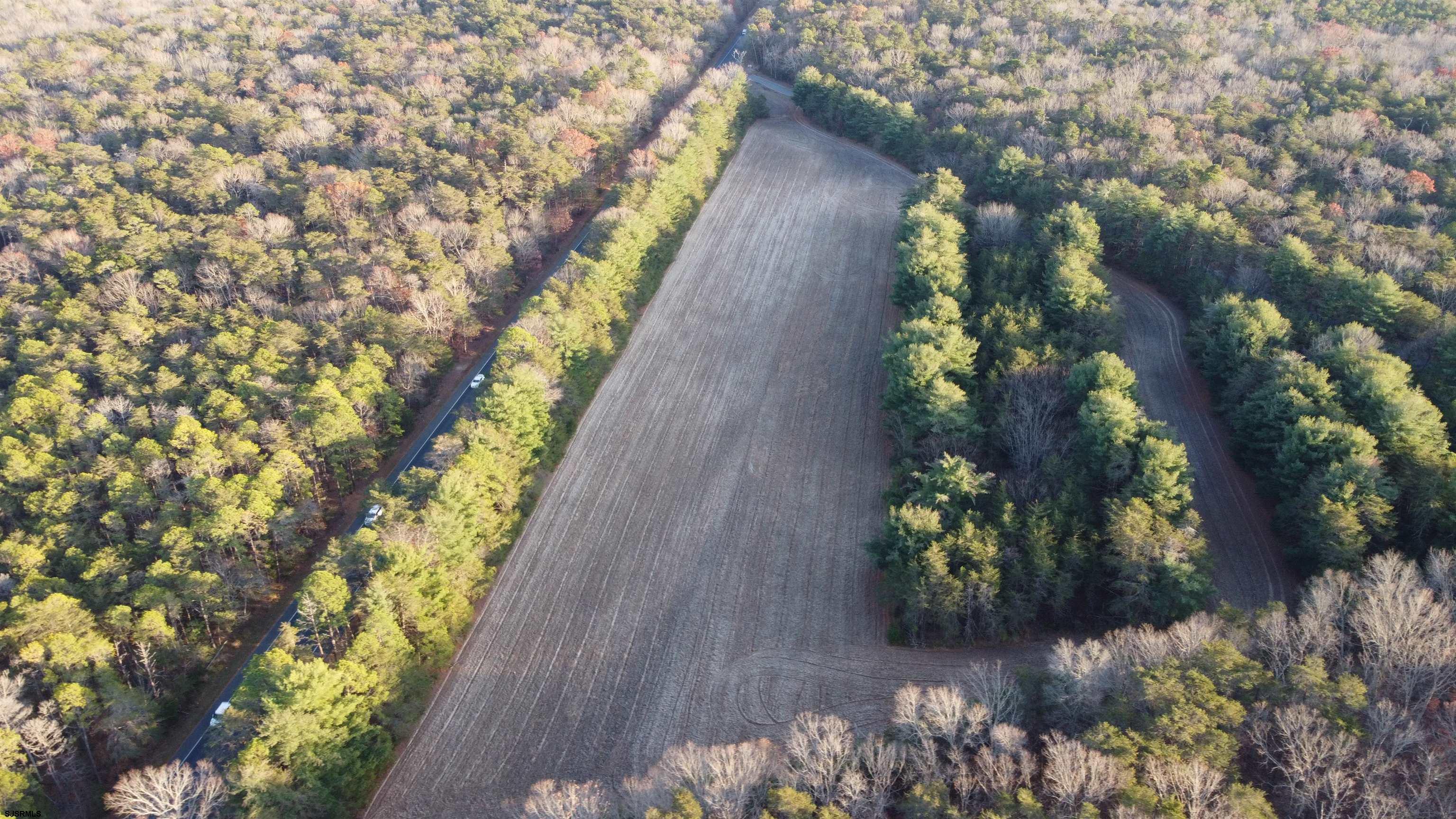 347 & Carlisle Place Road Dorchester, NJ 08316 - Photo 2 of 11 a view of a yard