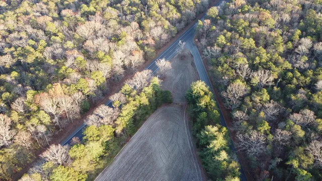 a view of a garden with plants