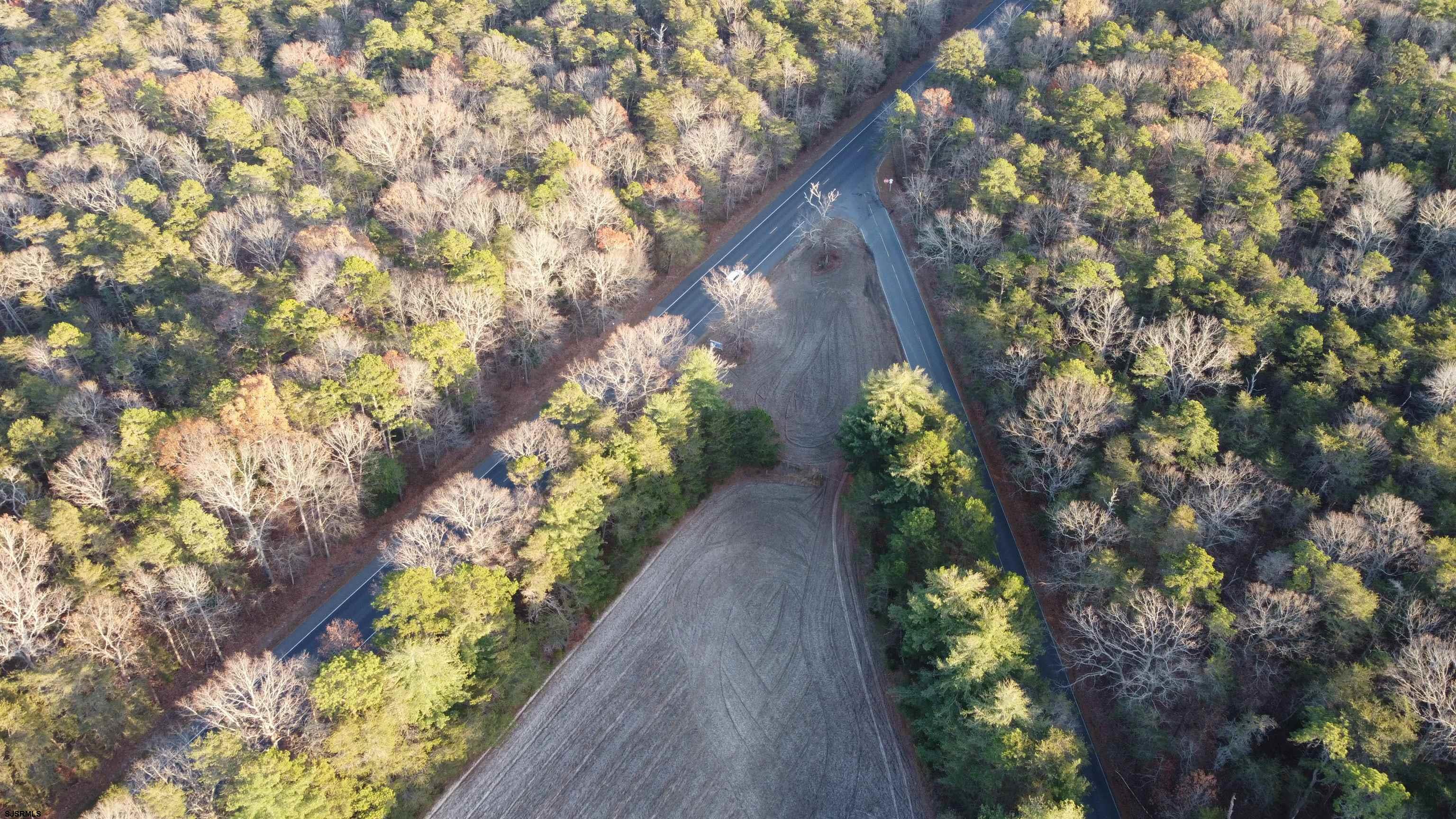 347 & Carlisle Place Road Dorchester, NJ 08316 - Photo 4 of 11 a view of a garden with plants