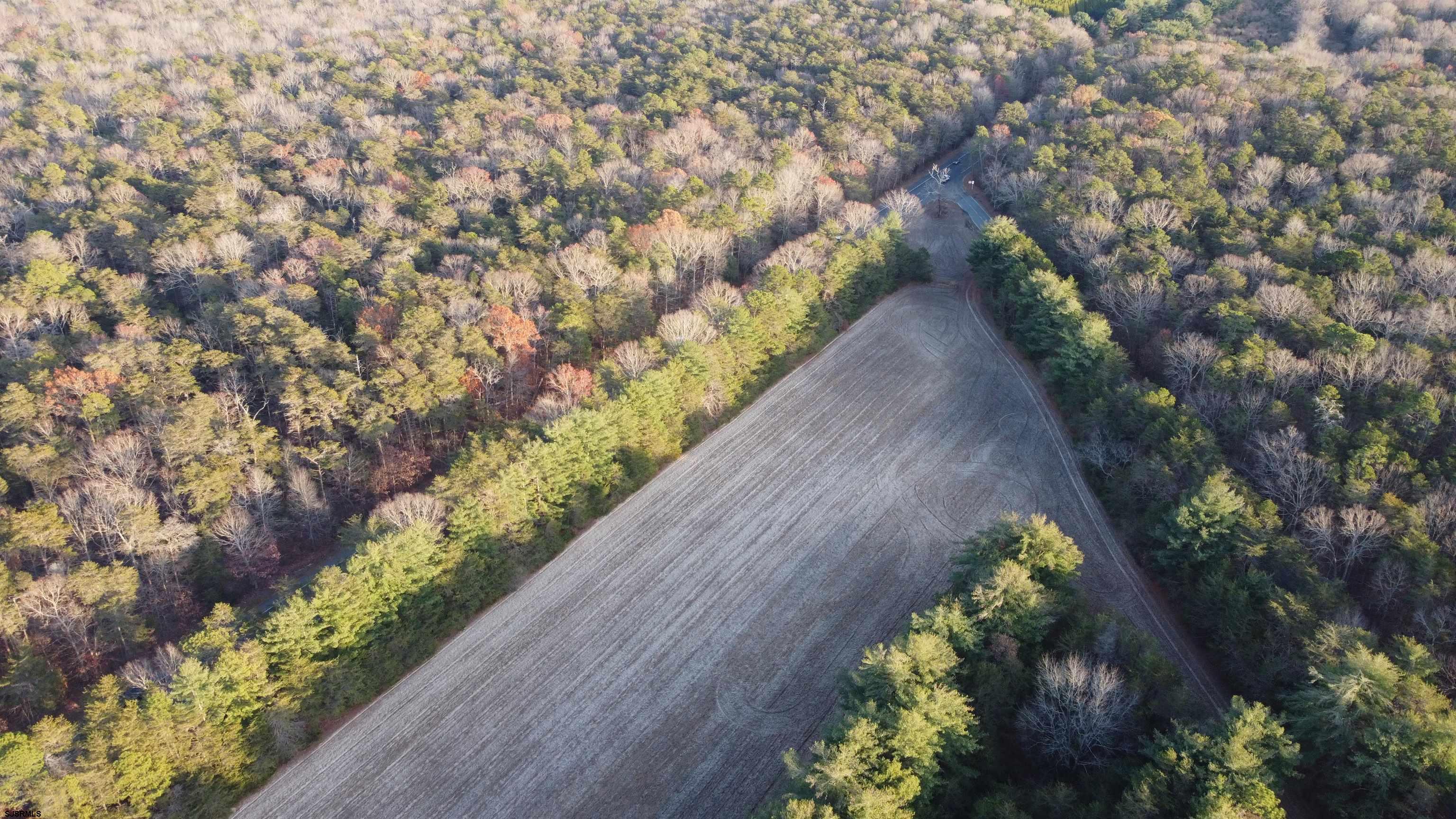 347 & Carlisle Place Road Dorchester, NJ 08316 - Photo 5 of 11 a view of a garden with plants