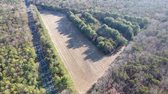 a view of a yard with plants
